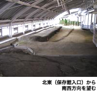 北東(保存館入口)から南西方向を望む