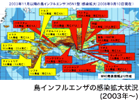 鳥インフルエンザの感染拡大状況(2003年~)