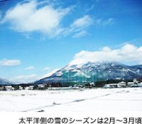 太平洋側の雪のシーズンは2月~3月頃