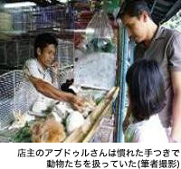 店主のアブドゥルさんは慣れた手つきで、動物たちを扱っていた(筆者撮影)