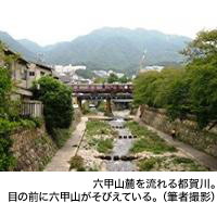 六甲山麓を流れる都賀川。目の前に六甲山がそびえている。(筆者撮影)