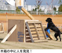 木箱の中に人を発見!
